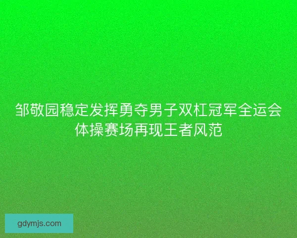 邹敬园稳定发挥勇夺男子双杠冠军全运会体操赛场再现王者风范