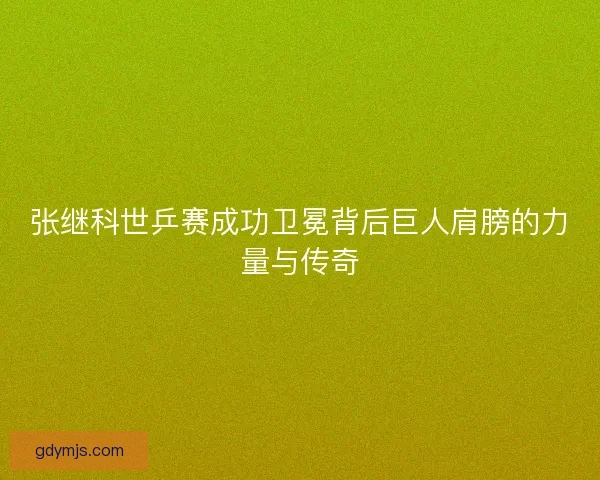 张继科世乒赛成功卫冕背后巨人肩膀的力量与传奇